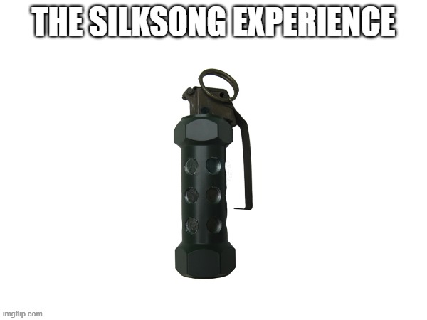The Silksong Experience | THE SILKSONG EXPERIENCE | image tagged in silksong,video games,gaming,pc gaming | made w/ Imgflip meme maker
