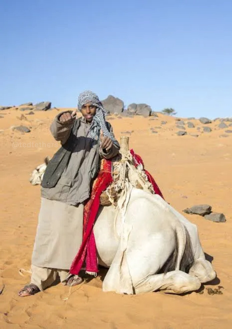 Myron Gaines Blank Meme Template