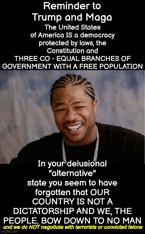 Big Wheel Keep On Turnin'.  Proud Mary Keep On Burnin'.  Rollin', Rollin', Rollin' On The River! | Reminder to Trump and Maga; The United States of America IS a democracy protected by laws, the Constitution and
THREE CO - EQUAL BRANCHES OF GOVERNMENT WITH A FREE POPULATION; In your delusional "alternative" state you seem to have forgotten that OUR COUNTRY IS NOT A DICTATORSHIP AND WE, THE PEOPLE, BOW DOWN TO NO MAN; and we do NOT negotiate with terrorists or convicted felons | image tagged in memes,yo dawg heard you,maga,trump is a convicted felon,lock him up,us government | made w/ Imgflip meme maker