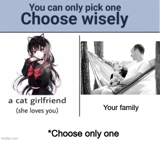 IDK whether you choose... | Your family; *Choose only one | image tagged in choose wisely | made w/ Imgflip meme maker