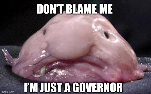 Blobfish | I’M JUST A GOVERNOR DON’T BLAME ME | image tagged in blobfish | made w/ Imgflip meme maker
