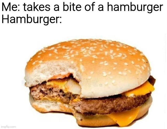 My humor is too advanced for y'all | Me: takes a bite of a hamburger

Hamburger: | image tagged in memes,funny,funny memes,meme,hamburger,never gonna give you up | made w/ Imgflip meme maker