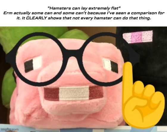 Can every hamster lay extremely flat? The answer is no because not every hamster has the capacity to do so. | "Hamsters can lay extremely flat"
Erm actually some can and some can't because I've seen a comparison for it. It CLEARLY shows that not every hamster can do that thing. | image tagged in nerd pig,hamster,memes,erm actually | made w/ Imgflip meme maker