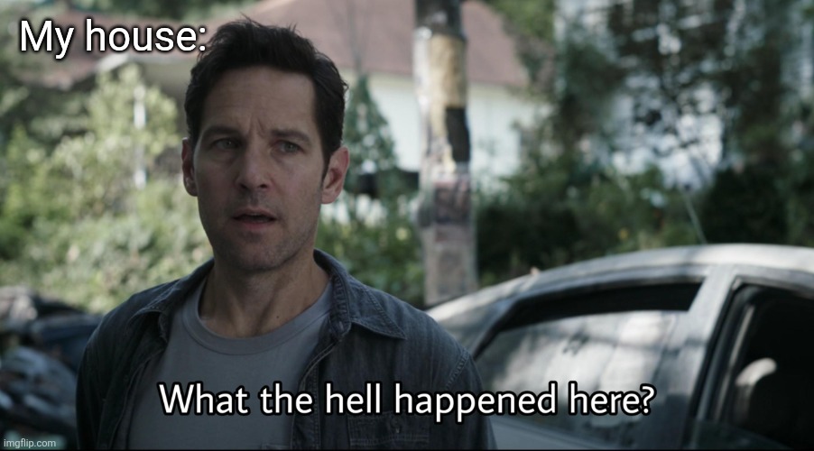 Confused ant-man | My house: | image tagged in confused ant-man | made w/ Imgflip meme maker