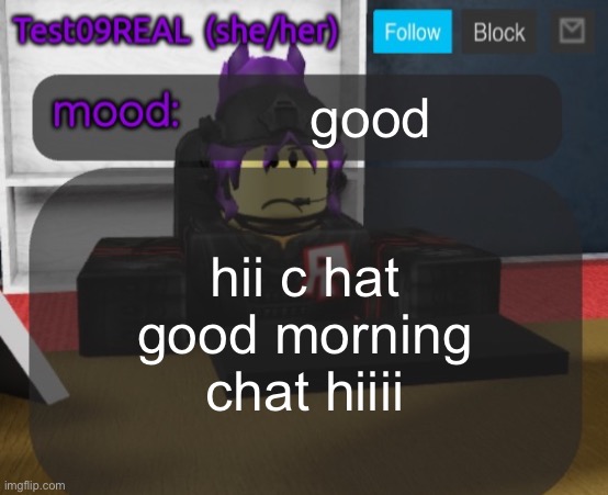 Test09 Jane Doe temp v2 | good; hii c hat good morning chat hiiii | image tagged in test09 jane doe temp v2 | made w/ Imgflip meme maker