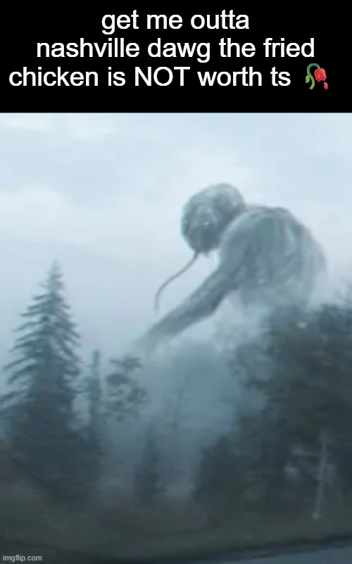 get me outta nashville dawg the fried chicken is NOT worth ts 🥀 | made w/ Imgflip meme maker