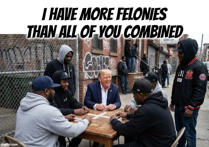 TRASH TALKIN' | I HAVE MORE FELONIES THAN ALL OF YOU COMBINED | image tagged in trump,felony,criminal,hoodlum,delinquent,hood rat | made w/ Imgflip meme maker