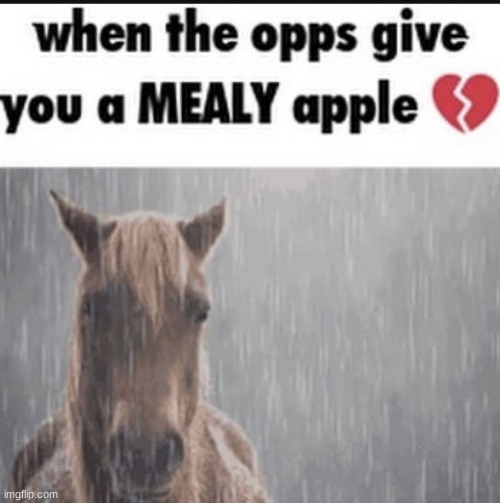 when the opps give you a MEALY apple | image tagged in when the opps give you a mealy apple | made w/ Imgflip meme maker