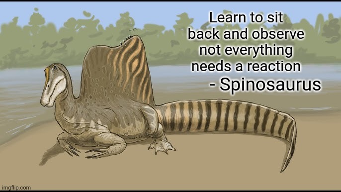 Spinosaurus Sigma | Learn to sit back and observe not everything needs a reaction; - Spinosaurus | image tagged in memes,dinosaur,quotes,funny,shitpost,lol | made w/ Imgflip meme maker