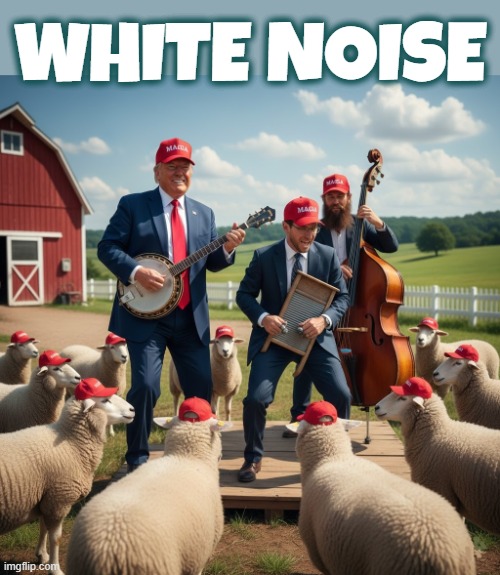 WHITE NOISE | WHITE NOISE | image tagged in white noise,meaningless,distracting commotion,tune it out,maga,trump | made w/ Imgflip meme maker