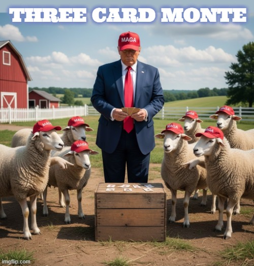 Three Card Monte | THREE CARD MONTE | image tagged in three card monte,swindle,rigged game,scam,trump,maga | made w/ Imgflip meme maker
