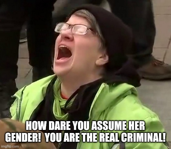 Crying liberal | HOW DARE YOU ASSUME HER GENDER!  YOU ARE THE REAL CRIMINAL! | image tagged in crying liberal | made w/ Imgflip meme maker