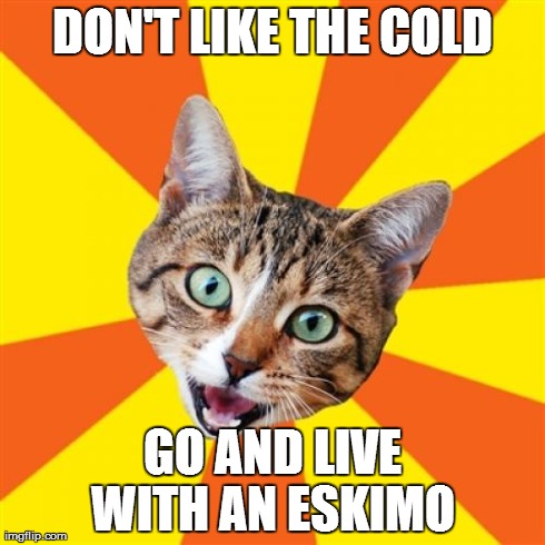 Bad Advice Cat Meme | DON'T LIKE THE COLD GO AND LIVE WITH AN ESKIMO | image tagged in memes,bad advice cat | made w/ Imgflip meme maker