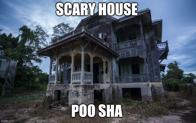Haunted House | SCARY HOUSE; POO SHA | image tagged in haunted house | made w/ Imgflip meme maker