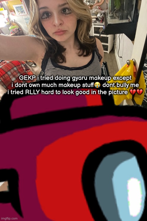 actually please bully me, roast me in the comments <3 | GEKP i tried doing gyaru makeup except i dont own much makeup stuff😭 dont bully me i tried RLLY hard to look good in the picture 💔💔 | made w/ Imgflip meme maker