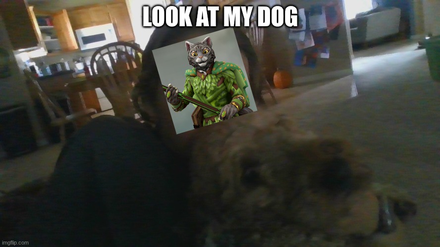 LOOK AT MY DOG | made w/ Imgflip meme maker