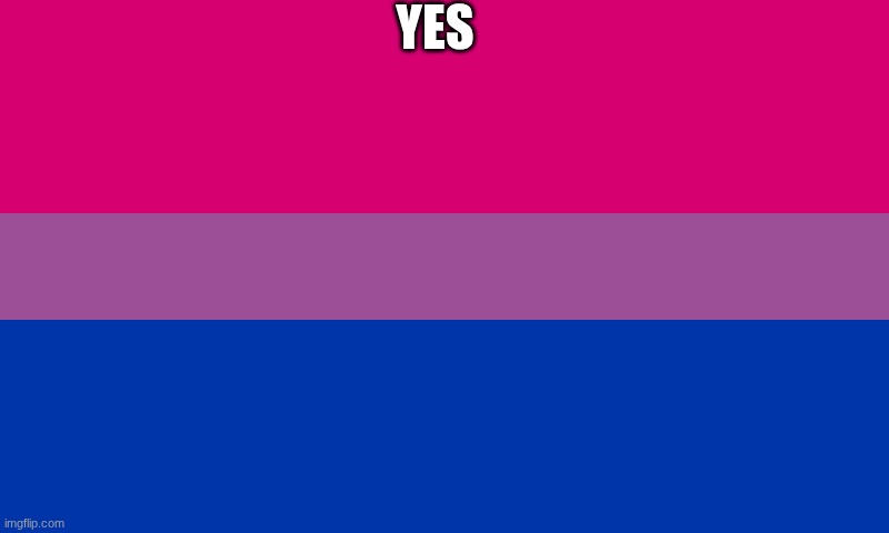 YES | image tagged in bi flag | made w/ Imgflip meme maker