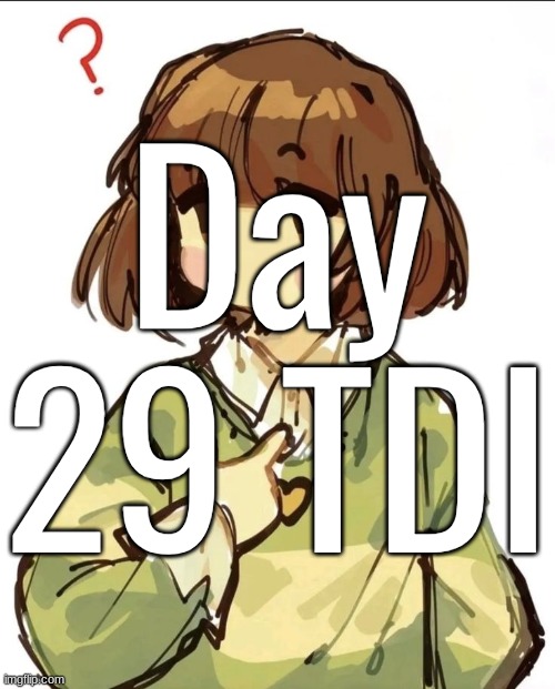 Day 29 TDI | made w/ Imgflip meme maker