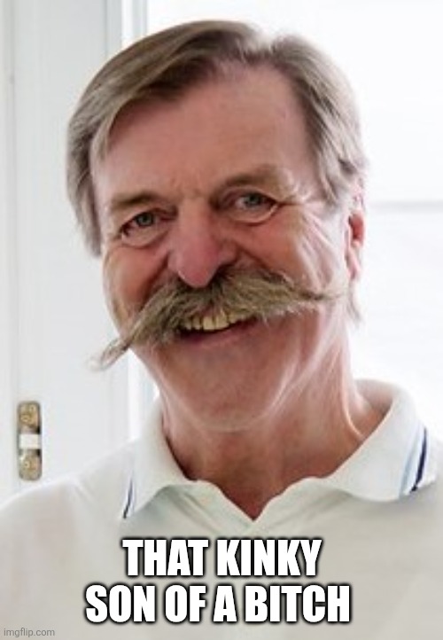 gimmemohr | THAT KINKY SON OF A BITCH | image tagged in gimmemohr | made w/ Imgflip meme maker