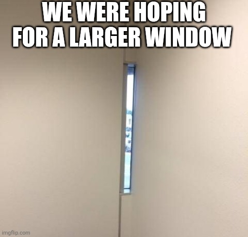 We Were Hoping For A Larger Window | WE WERE HOPING FOR A LARGER WINDOW | image tagged in chrisjoines1 | made w/ Imgflip meme maker