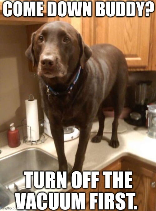 Come Down Buddy | COME DOWN BUDDY? TURN OFF THE VACUUM FIRST. | image tagged in chrisjoines1 | made w/ Imgflip meme maker