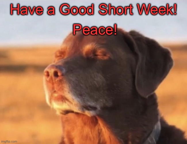 Blissful dog | Peace! Have a Good Short Week! | image tagged in blissful dog | made w/ Imgflip meme maker