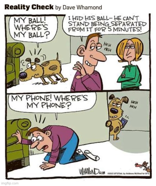Two can play that game… | image tagged in comics,reality check,dog,ball,hid,phone | made w/ Imgflip meme maker