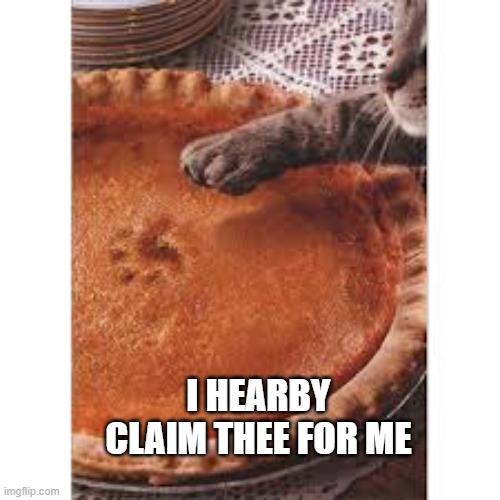 Cat puts his claim on a pumpkin pie.   --  funny  -- | I HEARBY CLAIM THEE FOR ME | image tagged in cat,kittens,funny,humor,thanksgiving,turkey | made w/ Imgflip meme maker