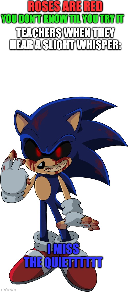 Sorry for bad image, I suck lulz | ROSES ARE RED; YOU DON'T KNOW TIL YOU TRY IT; TEACHERS WHEN THEY HEAR A SLIGHT WHISPER:; I MISS THE QUIETTTTTT | image tagged in sonic exe | made w/ Imgflip meme maker