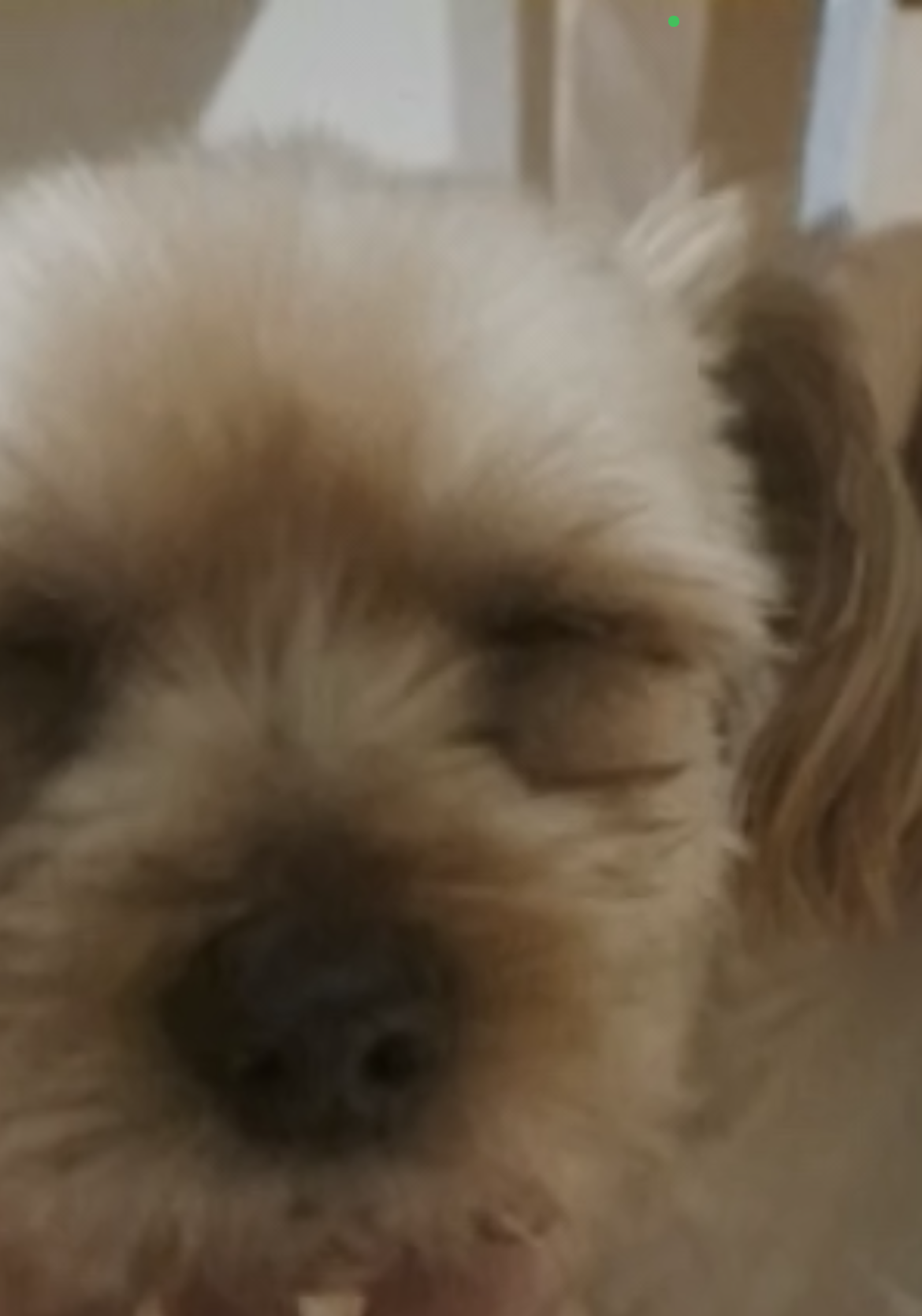 My mom is kinda homeless Blank Meme Template