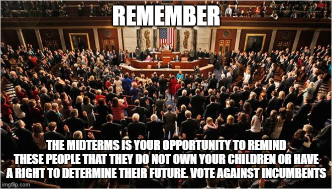 You are the term limit | REMEMBER; THE MIDTERMS IS YOUR OPPORTUNITY TO REMIND THESE PEOPLE THAT THEY DO NOT OWN YOUR CHILDREN OR HAVE A RIGHT TO DETERMINE THEIR FUTURE. VOTE AGAINST INCUMBENTS | image tagged in congress,term limits,vote out incumbents,government corruption,end the uniparty,you are the storm | made w/ Imgflip meme maker