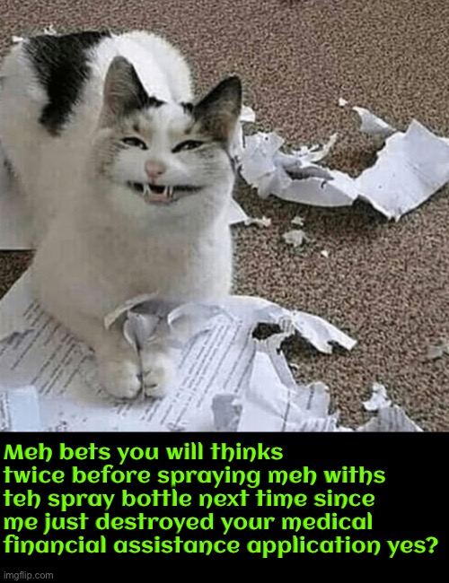 Meh Destroys It | Meh bets you will thinks twice before spraying meh withs teh spray bottle next time since me just destroyed your medical financial assistance application yes? | image tagged in cats,funny cats,smiling cat,destruction,revenge,manipulation | made w/ Imgflip meme maker