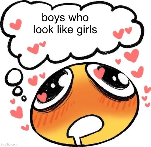 Dreaming Drooling Emoji | boys who look like girls | image tagged in dreaming drooling emoji | made w/ Imgflip meme maker