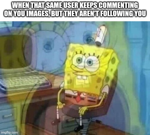 What's the point then? | WHEN THAT SAME USER KEEPS COMMENTING ON YOU IMAGES, BUT THEY AREN'T FOLLOWING YOU | image tagged in internal screaming,ahhhhhhhhhhhhh | made w/ Imgflip meme maker