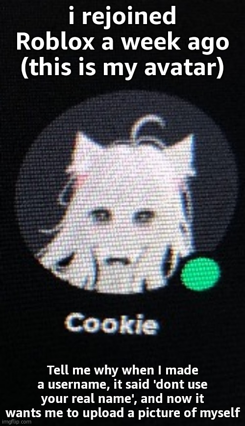 i rejoined Roblox a week ago (this is my avatar); Tell me why when I made a username, it said 'dont use your real name', and now it wants me to upload a picture of myself | made w/ Imgflip meme maker
