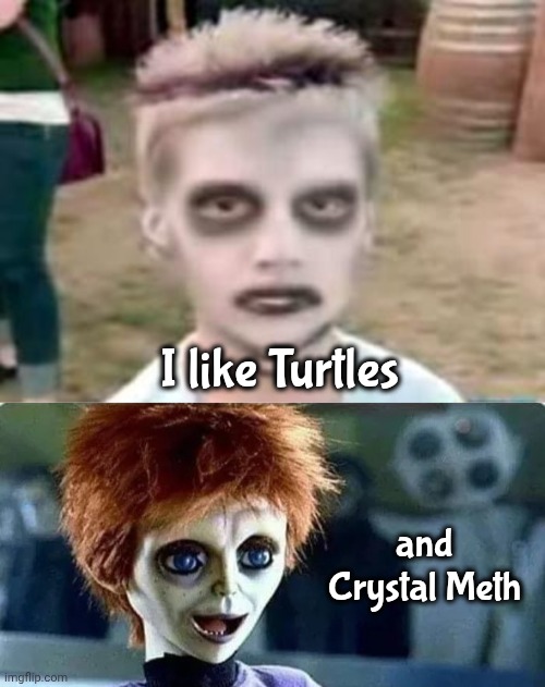 All Grown Up | I like Turtles; and Crystal Meth | image tagged in i like turtles,just say no,meth,you know i'm something of a scientist myself | made w/ Imgflip meme maker