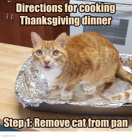 “You said that I was invited to dinner!” | image tagged in cats,thanksgiving,cooking,directions,remove | made w/ Imgflip meme maker