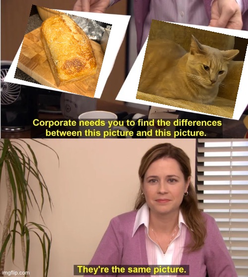 There is no difference | image tagged in there is no difference | made w/ Imgflip meme maker