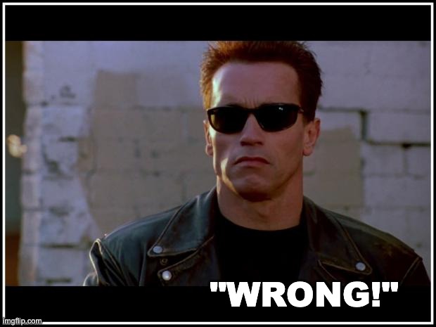 arnold schwarzenegger terminator | "WRONG!" | image tagged in arnold schwarzenegger terminator | made w/ Imgflip meme maker