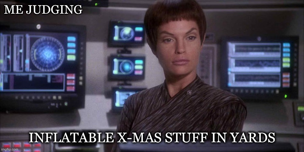 T'Pol Judging Things | ME JUDGING; INFLATABLE X-MAS STUFF IN YARDS | image tagged in christmas decorations | made w/ Imgflip meme maker