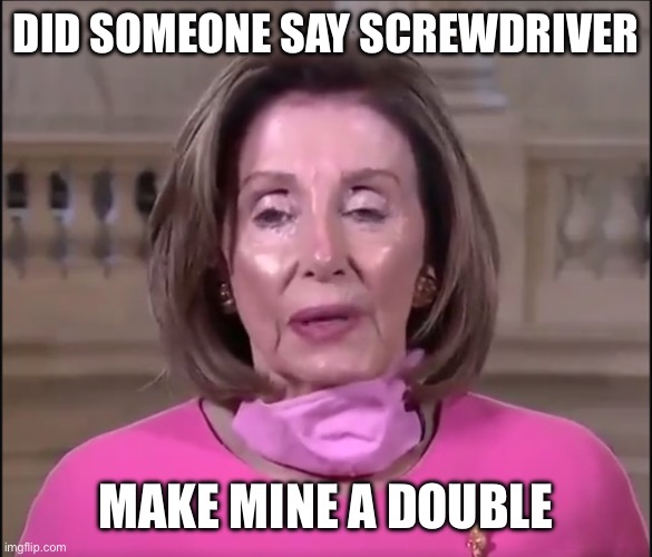 Drunk Nancy | DID SOMEONE SAY SCREWDRIVER MAKE MINE A DOUBLE | image tagged in drunk nancy | made w/ Imgflip meme maker