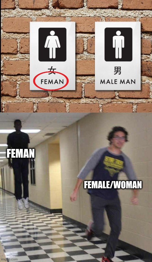 fear feman | FEMAN; FEMALE/WOMAN | image tagged in floating boy chasing running boy,female,woman,stupid signs,funny signs,you had one job | made w/ Imgflip meme maker