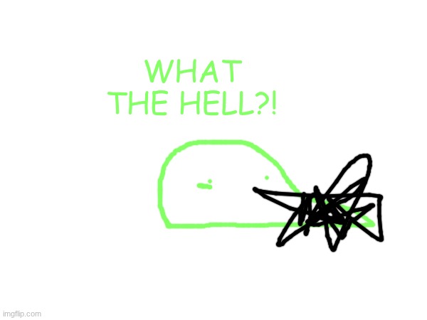 WHAT THE HELL?! | made w/ Imgflip meme maker