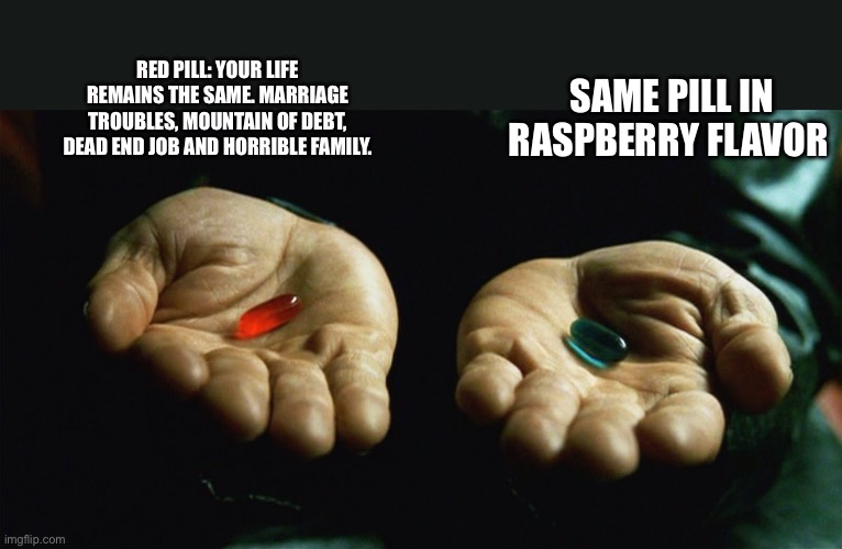 Which pill will you take? | SAME PILL IN RASPBERRY FLAVOR; RED PILL: YOUR LIFE REMAINS THE SAME. MARRIAGE TROUBLES, MOUNTAIN OF DEBT, DEAD END JOB AND HORRIBLE FAMILY. | image tagged in red pill blue pill | made w/ Imgflip meme maker