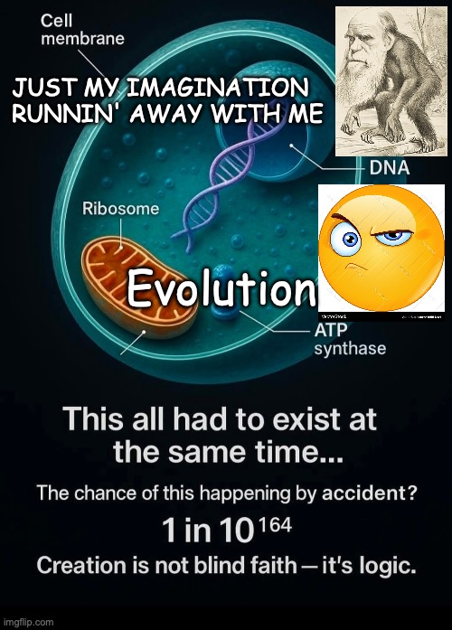 The Faith of Darwin...Hee-Hee | JUST MY IMAGINATION
RUNNIN' AWAY WITH ME; Evolution | image tagged in stop the monkey business | made w/ Imgflip meme maker