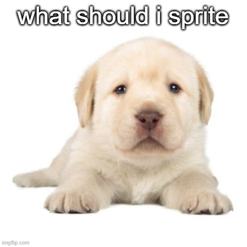 preferably lisa the painful related | what should i sprite | image tagged in really cute puppy | made w/ Imgflip meme maker