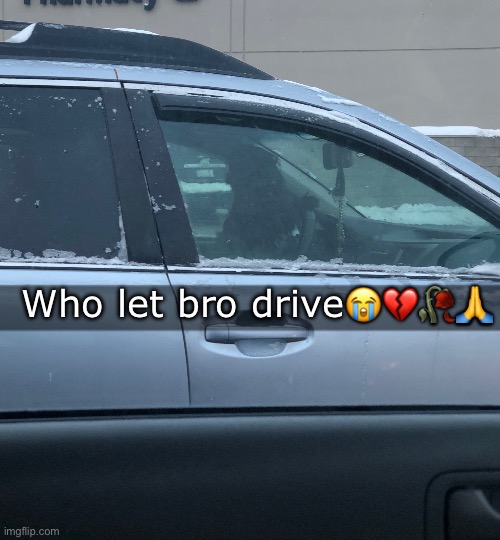 Mf ain’t even got a license | Who let bro drive😭💔🥀🙏 | made w/ Imgflip meme maker
