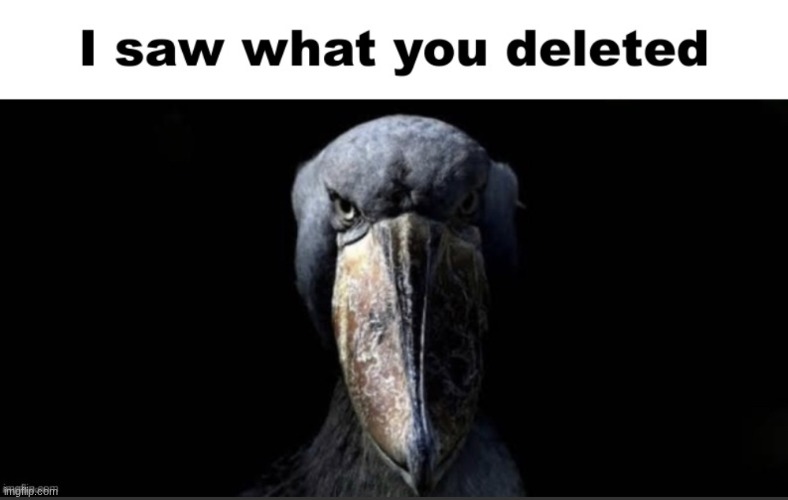 I saw what you deleted | image tagged in i saw what you deleted | made w/ Imgflip meme maker
