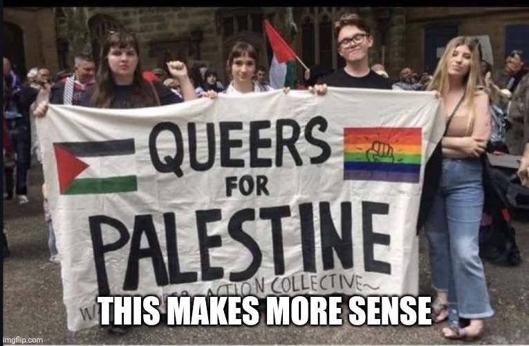 queers for Palestine | THIS MAKES MORE SENSE | image tagged in queers for palestine | made w/ Imgflip meme maker