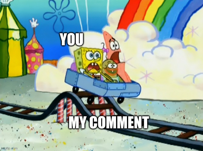 SpongeBob Roller Coaster | YOU MY COMMENT | image tagged in spongebob roller coaster | made w/ Imgflip meme maker